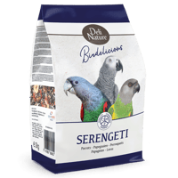 اكل ببغاء سينغالي كاسكو مشكل بالفواكه ديلي نيتشر D...