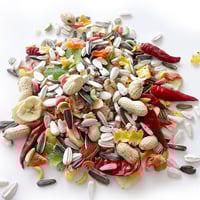 غذاء ببغاء كاسكو كوكاتو امبريلا مكاو بالفواكه ار ا...