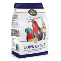 اكل روز فيشر كروان ديلي نيتشر Large Parakeets Down...