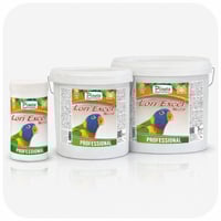 بينتا لوري أكسيل نيكتار Pineta – Lori Excel Nectar