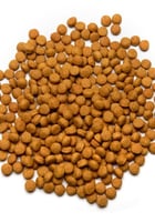 غذاء يومي كاسكو امزوني مكاو عالي الطاقة سيتاكوس PS...