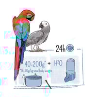 غذاء ببغاء كاسكو مكاو بور ويت مولين Witte Molen Pu...