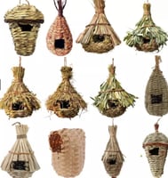 اعشاش وبيوت الزيبرا والعصافير الصغيرة