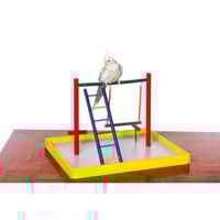 بريفيو بيت منصة لعب الكروان والكوكتيل - لعبة ببغاء...