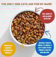 Meow Mix Seafood Medley Flavors Dry Cat Food مياو...