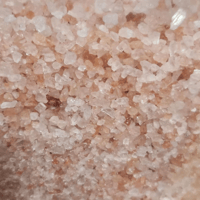 بيرد هيمالايا املاح الهاملايا Bird Himalaya