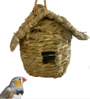 اعشاش وبيوت الزيبرا والعصافير الصغيرة