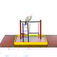 بريفيو بيت منصة لعب الكروان والكوكتيل - لعبة ببغاء...