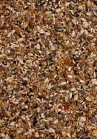 اكل روز فيشر كروان ديلي نيتشر Large Parakeets Down...