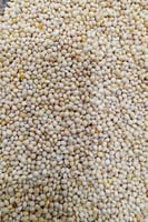 دخن مليسا 20 كيلو ابيض امريكي Millet