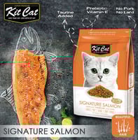 كت كات سيجنتشر سالمون (للعناية بالشعر) طعام جاف لل...