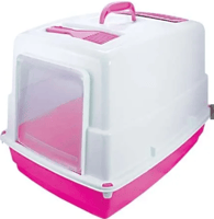 وردي Pink