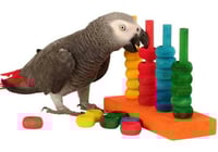 العاب طيور خشبية لعبة حركية Parrot Toys - منصة خشب...