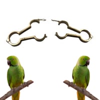 كلبشات الكساح لفروخ الطيور Treatment For Rickets B...