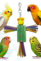 لعبة طيور خشبية ملونة للتسلية والمرح داخل القفص لل...