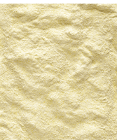 اكل لوري يومي فيرسل لاقا Versele-laga Lori