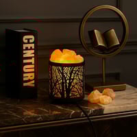 الغابة السوداء