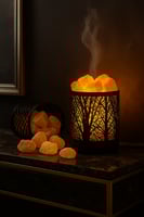 الغابة السوداء