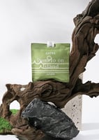 اكياس سيارة بانسي