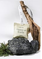 اكياس سيارة بانسي