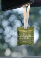 اكياس سيارة بانسي