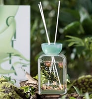 دفيوزر عنابي