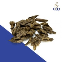 عود المجالس