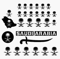 ستيكرات سيارة 30 قطعه - أسود