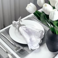 مسكة مناديل آنستونا فضي