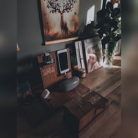 عرض الأناقة