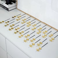 توزيعات نجوم الليل عدد 30