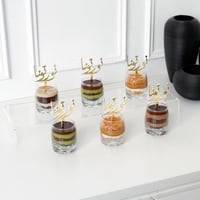 6 تغريسات نورتونا ذهبي