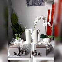 صينية الفخامة | 2 صينية + 12 قاعدة