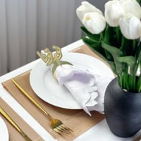 مسكة مناديل نورتونا ذهبي