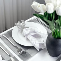 مسكة مناديل نورتونا فضي