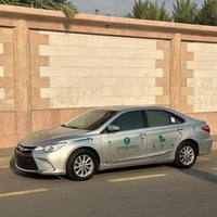 ستيكرات سيارة - 30 قطعه - أخضر