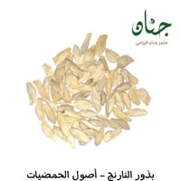 بذور النارنج - أصول الحمضيات ( CITRUS AURANTIUM )