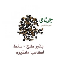 بذور شجرة طلح - أكاسيا مانقيوم‬ ( acacia mangium )