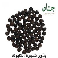 ‫بذور الكابوك‬ ( Ceiba pentandra )