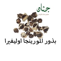بذور شجرة المورينجا‬ ‫الهندية - مورينجا اوليفيرا‬...