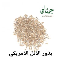 بذور الأثل الامريكي ( ‫‪ Casuarina‬‬‬)