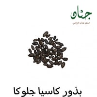 ‬ ‫بذور كاسيا‬ ‫جلوكا ( Cassia glauca )