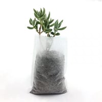 أكياس استنبات عضوية