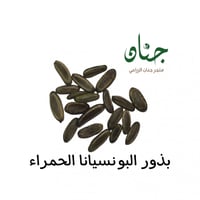 ‫بذور البونسيانا‬ الحمراء ( Delonix regia )