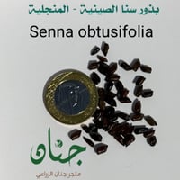 بذور عشبة سنا الصينية - المنجلية ( Senna obtusifol...