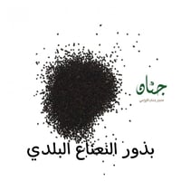 بذور النعناع البلدي ( Mentha )