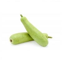 بذور اليقطين - الدباء ( Lagenaria siceraria )