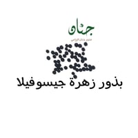 بذور زهرة جيبسوفيلا ريبينز ( Gypsophila repens )