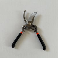 مقص تقليم الأغصان