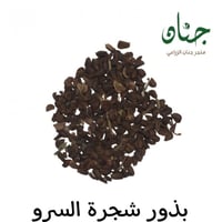 بذور‬ ‫السرو البلدي‬ ‫( Cupressus )